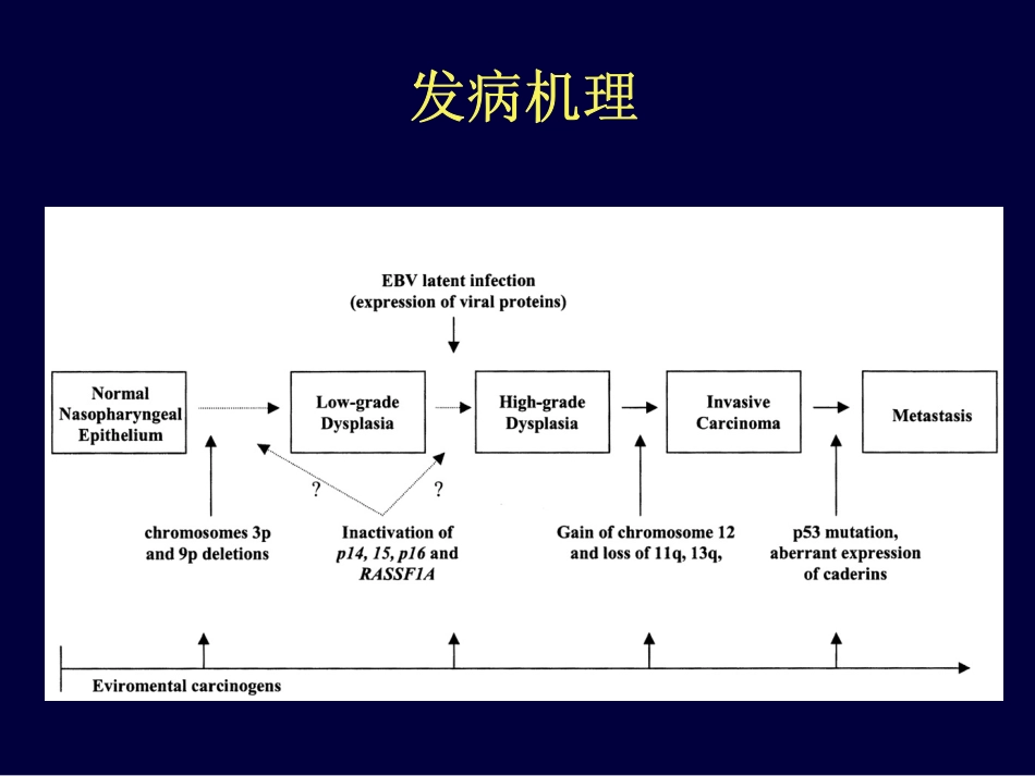 鼻咽癌的化疗进展_第3页
