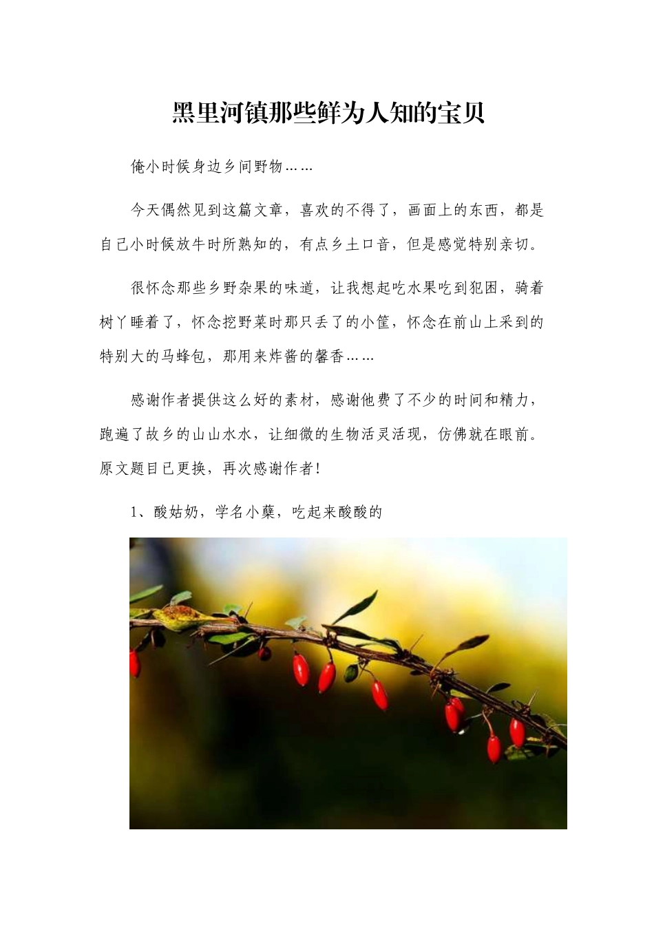 黑里河镇那些鲜为人知的宝贝_第1页