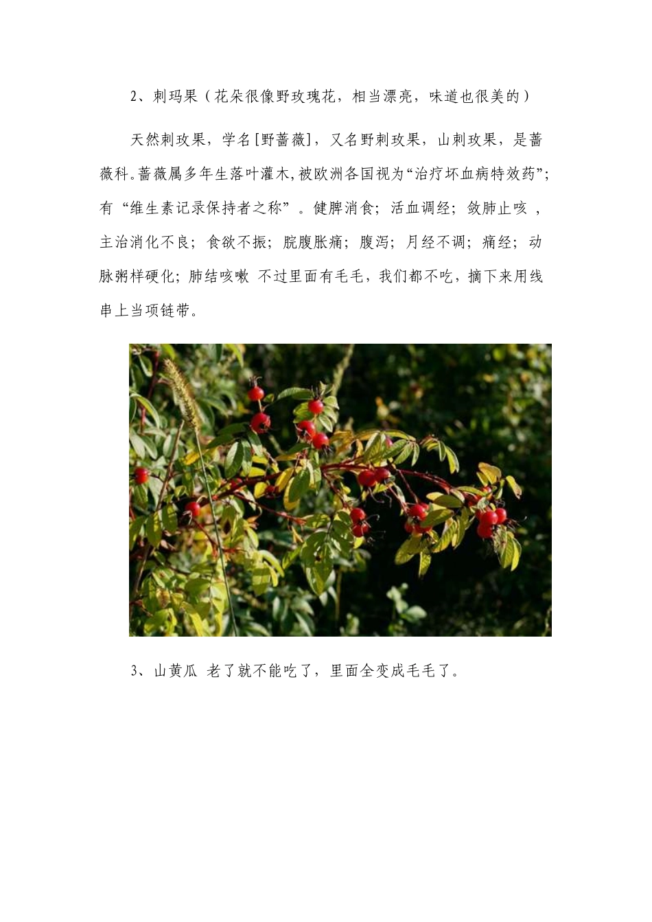 黑里河镇那些鲜为人知的宝贝_第2页