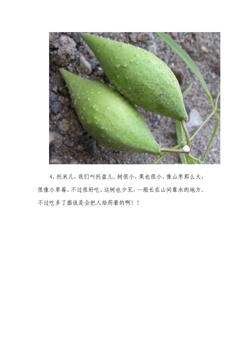 黑里河镇那些鲜为人知的宝贝_第3页