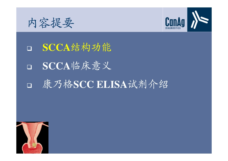 鳞状细胞癌抗原SCCA_第2页