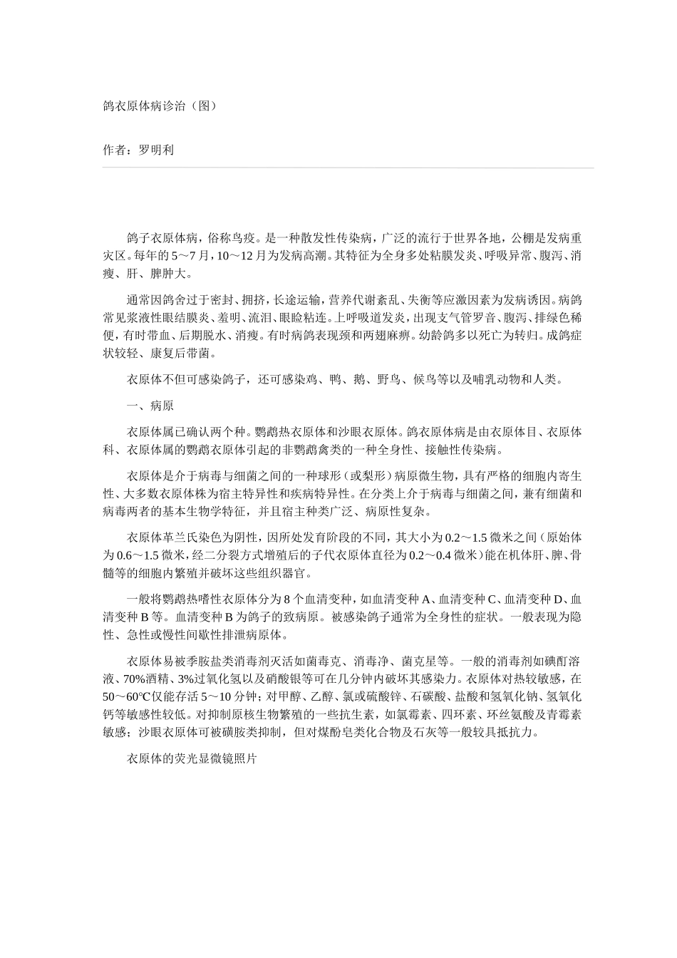 鸽衣原体病诊治_第1页