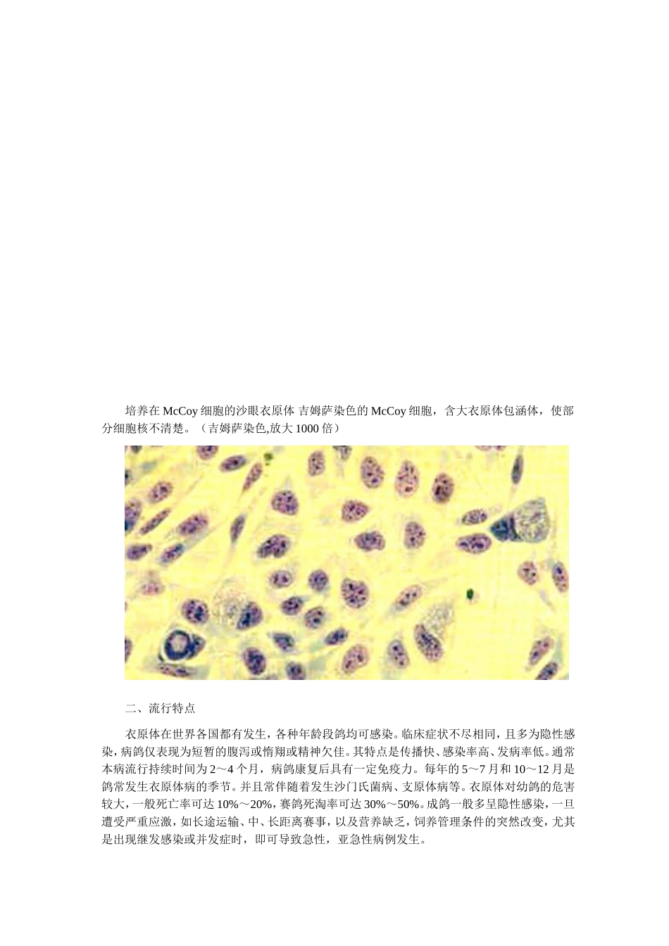 鸽衣原体病诊治_第2页