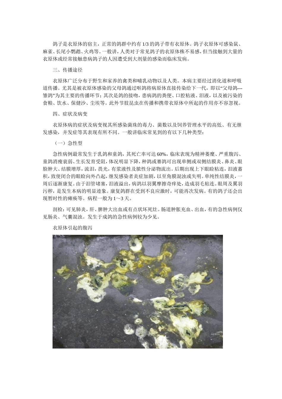 鸽衣原体病诊治_第3页