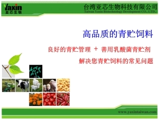 高品质的青贮饲料-0808