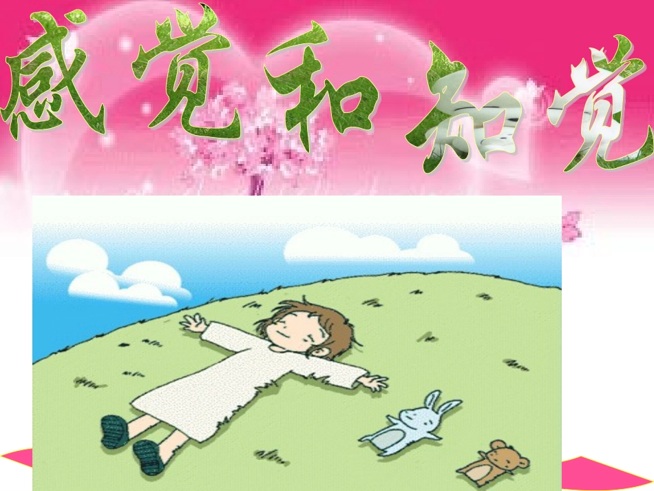 高尔夫心理学2(感知觉)_第1页