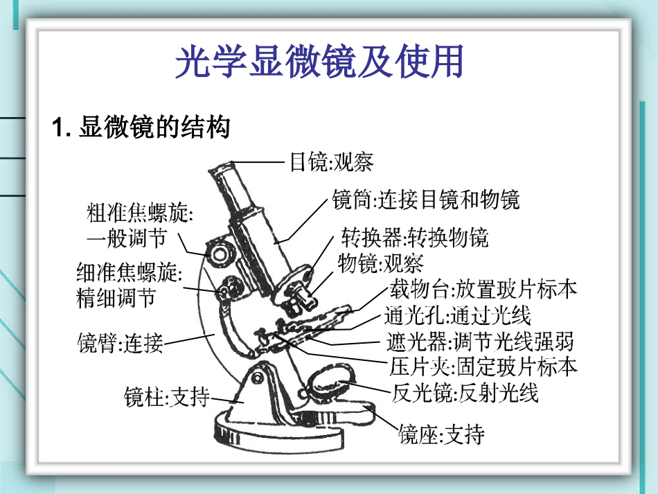 高倍镜的使用_第2页