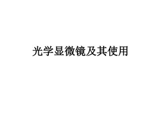 高倍显微镜的使用课件