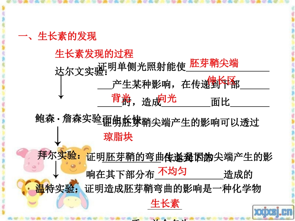 高中生物第三章  植物的激素调节_第3页