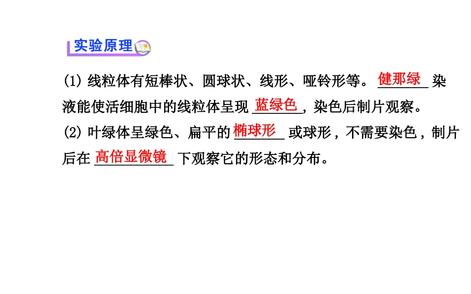 高中生物 第3章 实验用高倍显微镜观察叶绿体和线粒体课件 新人教版必修1_第2页