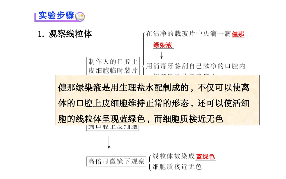 高中生物 第3章 实验用高倍显微镜观察叶绿体和线粒体课件 新人教版必修1_第3页