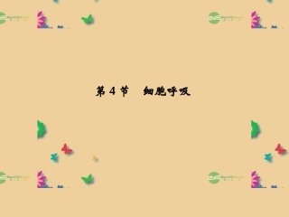高中生物 3-4-1需氧呼吸和厌氧呼吸课件必修1