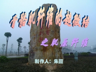 骨骼肌的超微结构