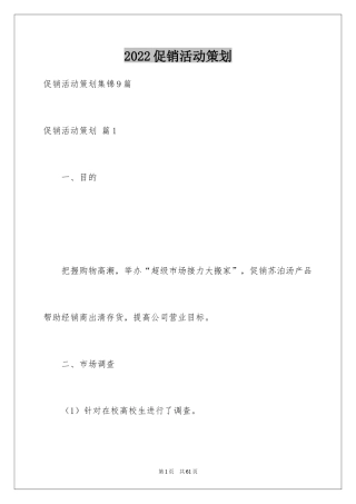 2024促销活动策划_89