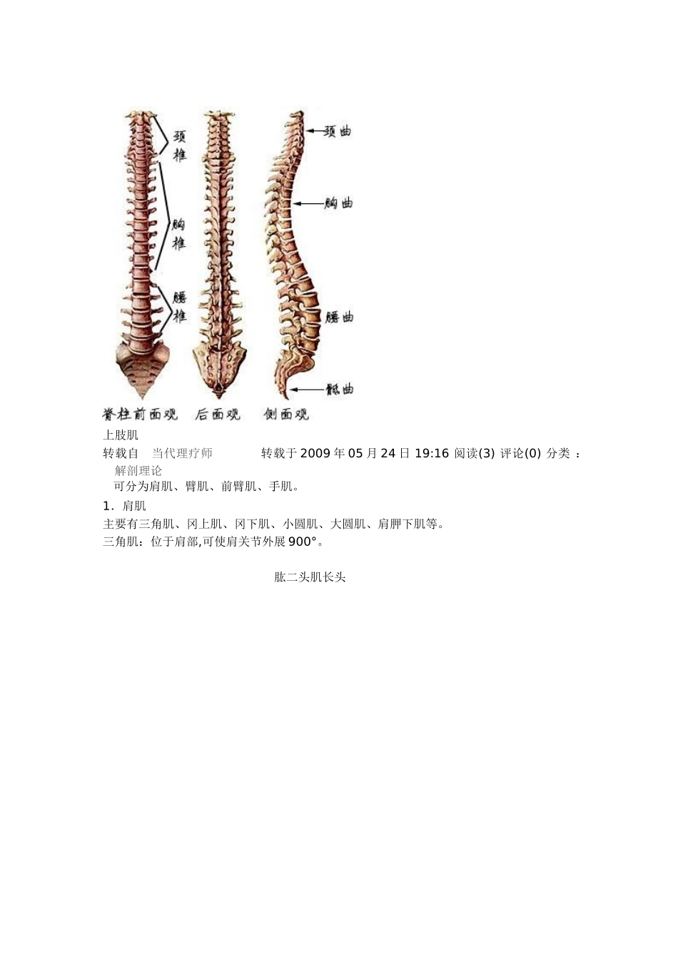 骨骼 .上肢肌 .下肢肌. 躯干肌_第2页