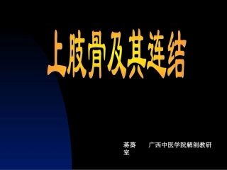 骨学、关节学(四肢)
