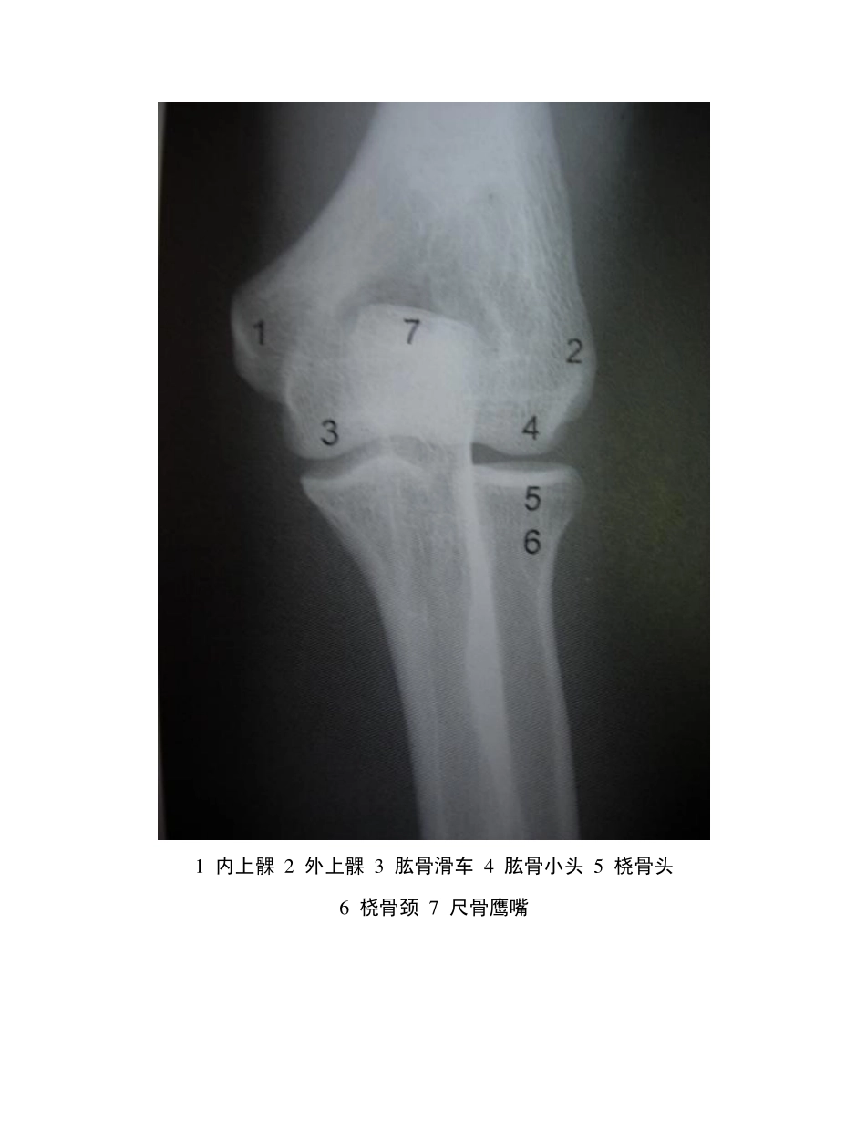 骨与关节正常X线图谱_第2页