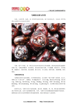 马蹄的功效与作用