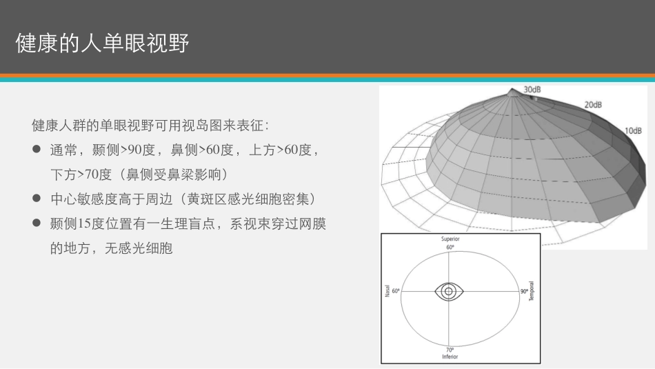 驾驶人水平视野检查_原理及工具_第2页
