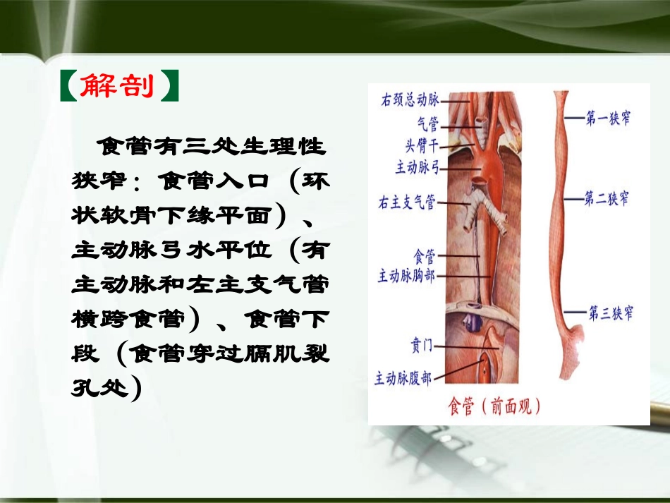 食管癌-孙会_第2页