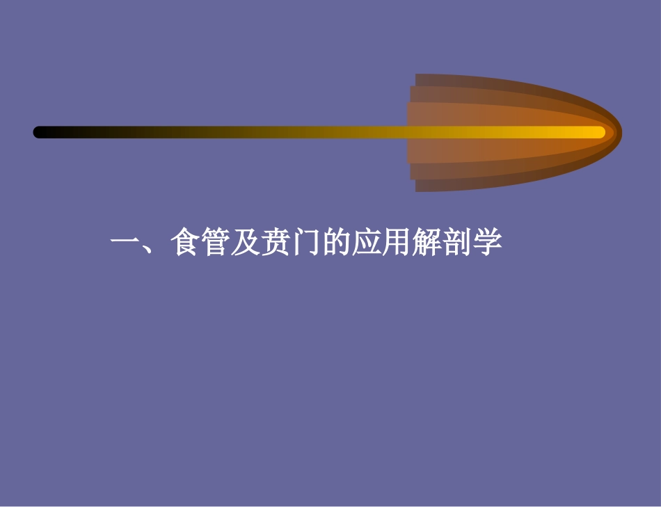 食管癌-喷门癌_第2页