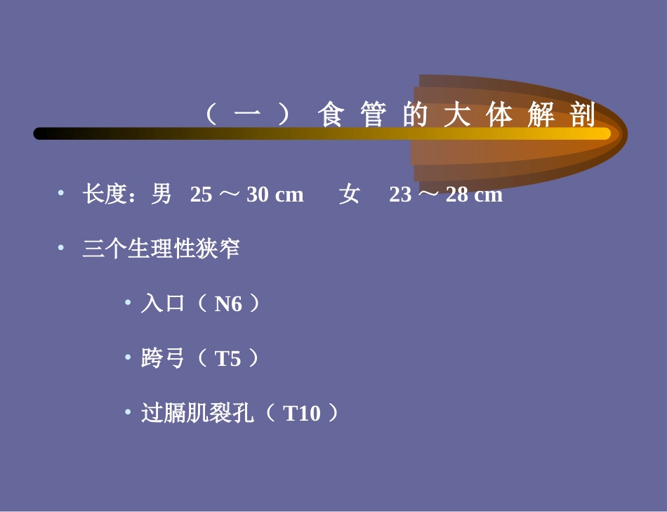 食管癌-喷门癌_第3页