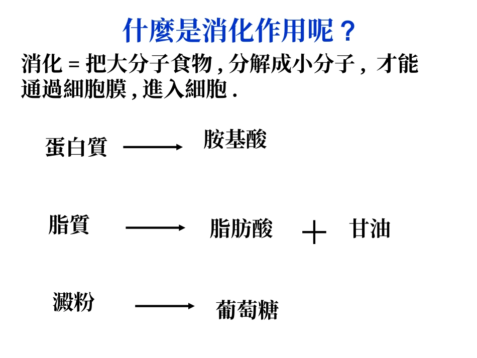 食物的消化及吸收_第2页