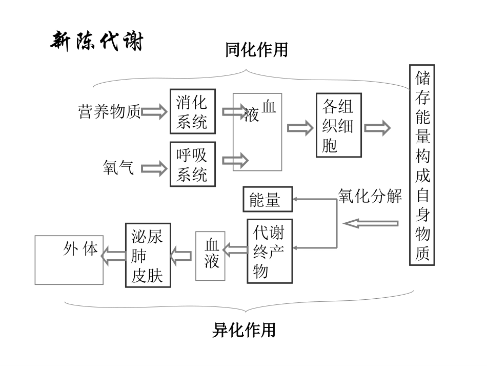 食物的体内过程_第2页