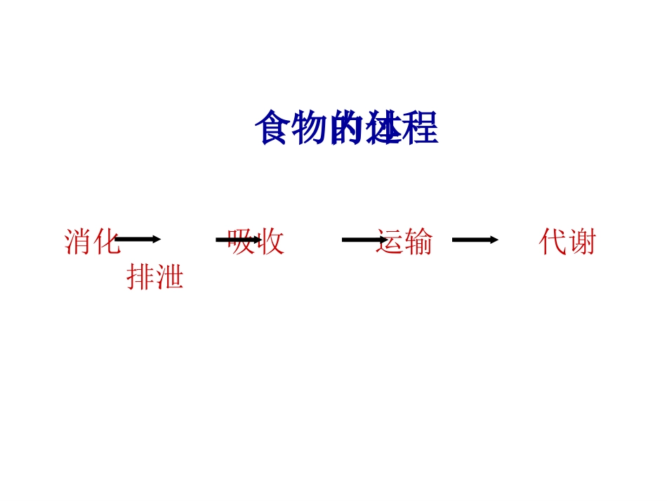 食物的体内过程_第3页