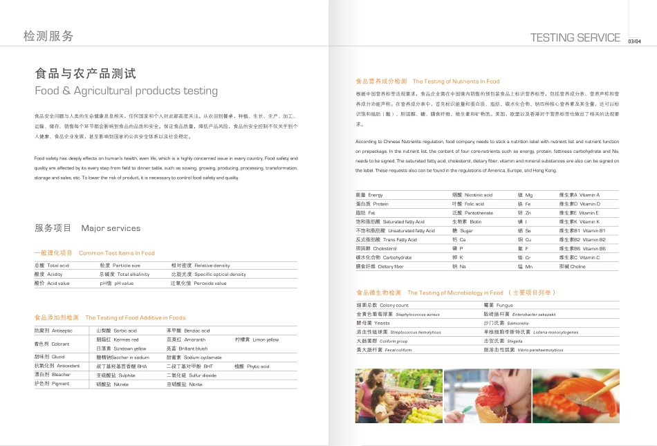 食品药品事业部_第3页