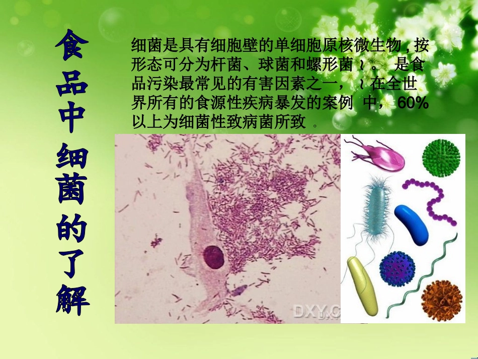 食品的细菌污染与防控_第2页