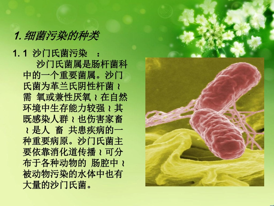 食品的细菌污染与防控_第3页
