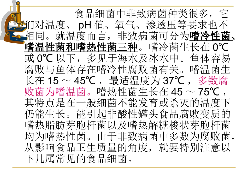 食品的细菌污染与腐败变质_第2页