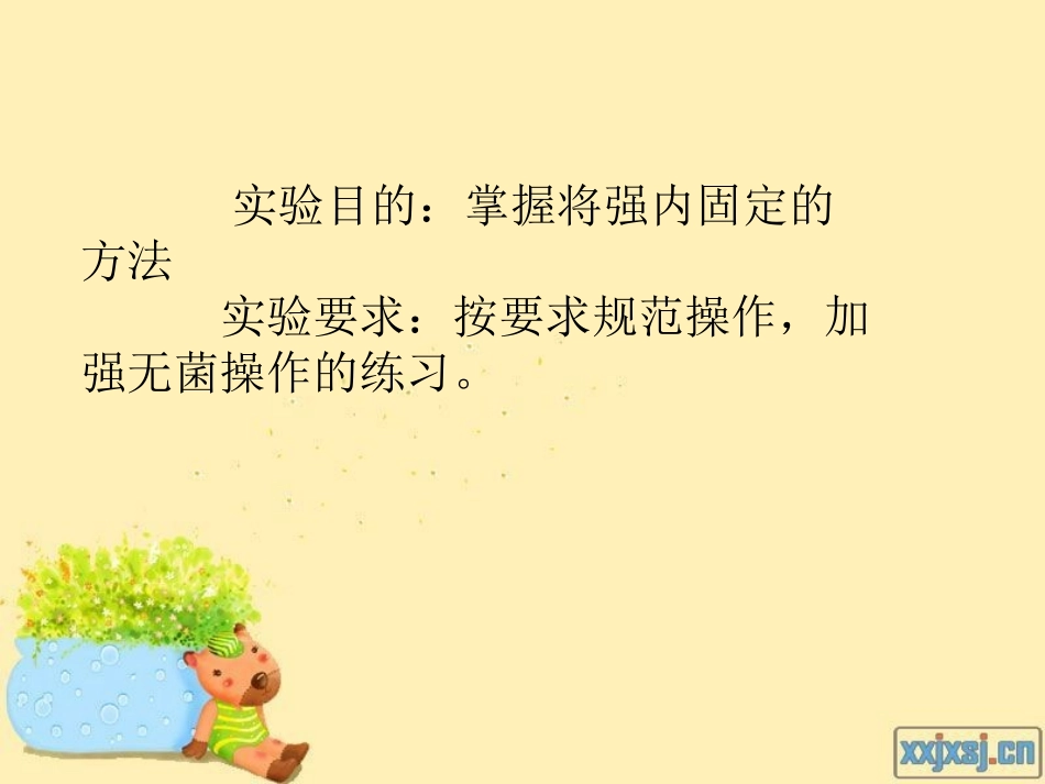 颌骨骨折固定_第2页