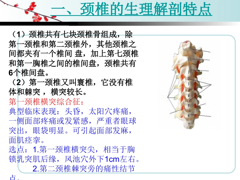 颈椎病治疗学习_第2页