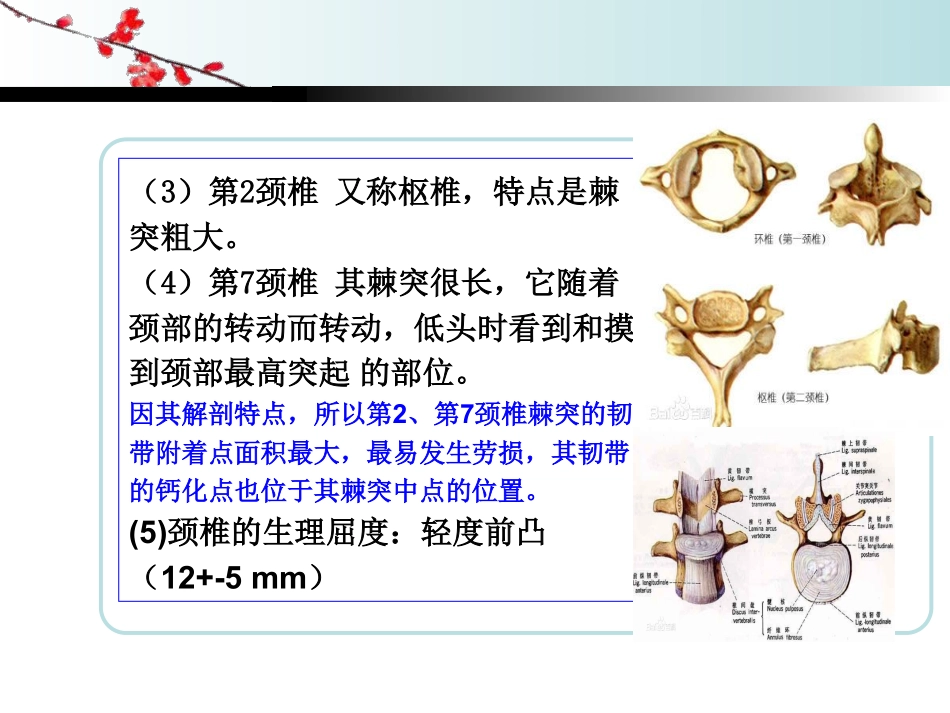 颈椎病治疗学习_第3页