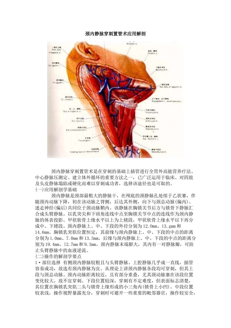 颈内静脉解剖_第1页