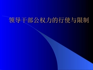 领导干部公权力的行使与限制