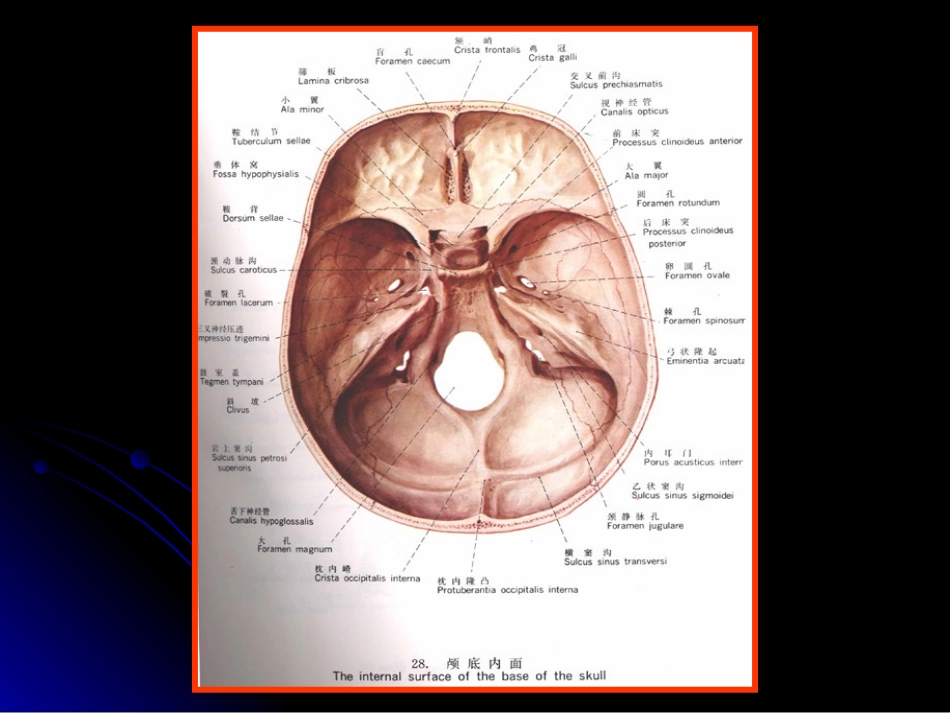 颅 内 压 增 高2_第2页