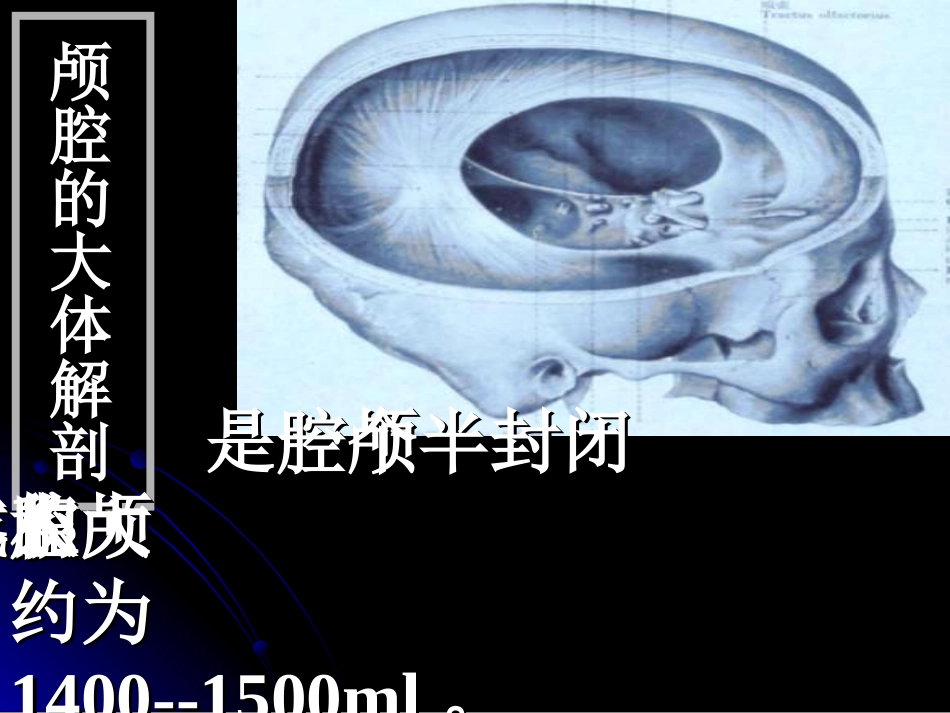 颅 内 压 增 高2_第3页