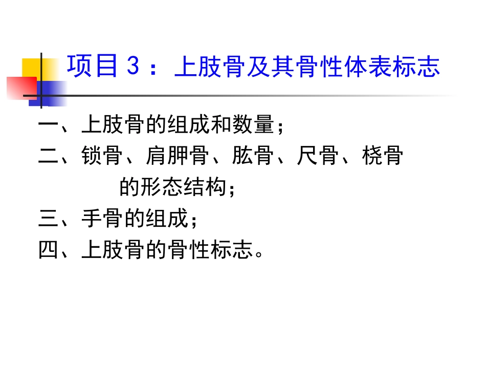 项目3：上肢骨及其骨性体表标志_第2页