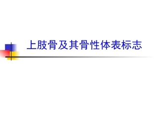 项目3：上肢骨及其骨性体表标志