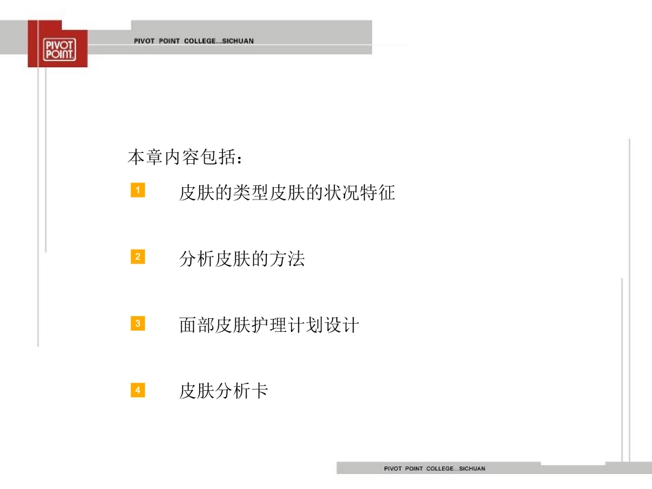 面部皮肤护理计划设计_第2页