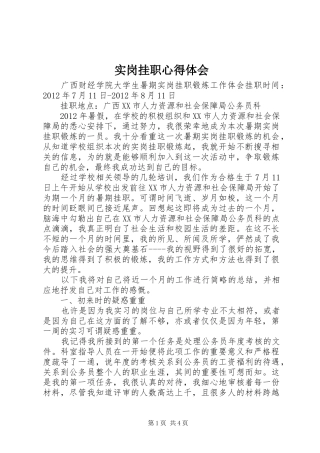 实岗挂职心得体会