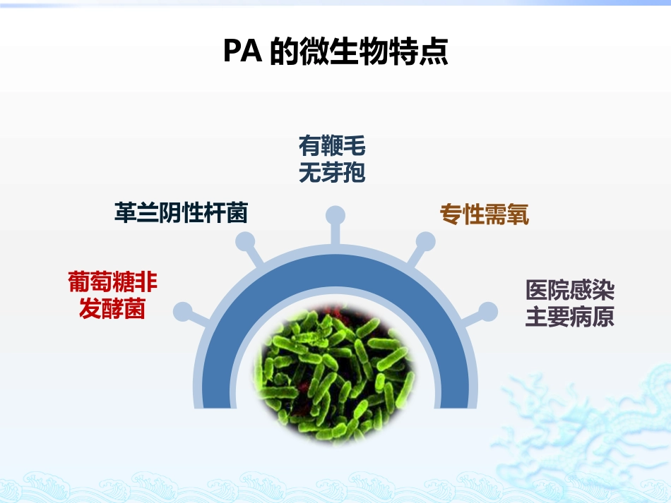 铜绿假单胞菌诊治方法1_第3页
