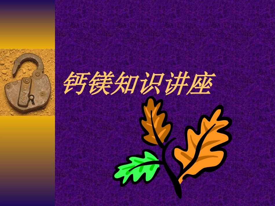 钙镁知识讲座_第1页