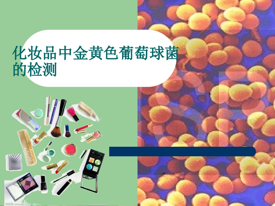 金黄色葡萄球菌的检测_第1页