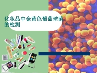 金黄色葡萄球菌的检测