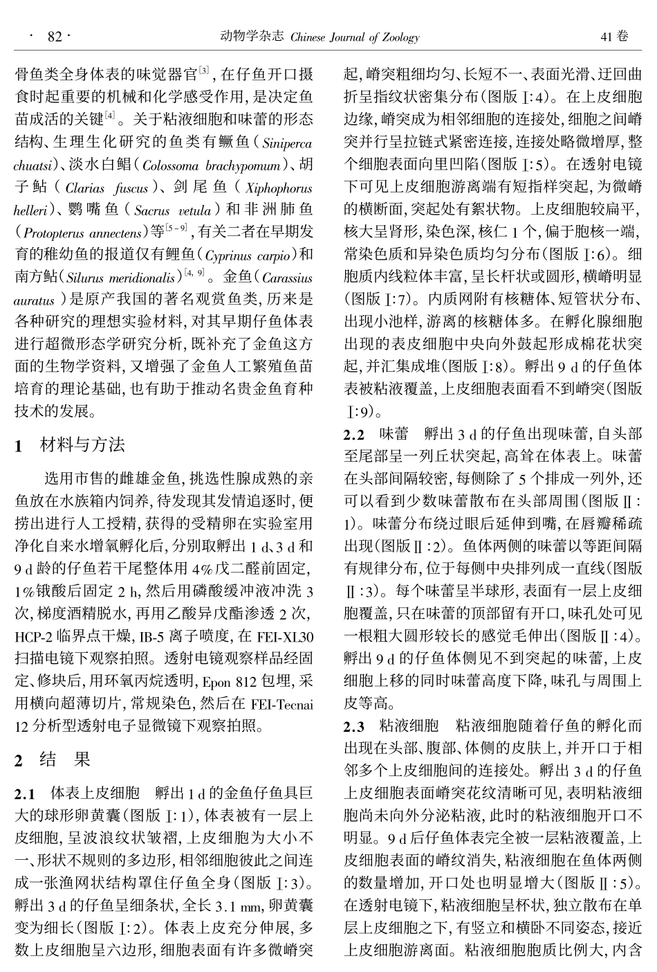 金鱼早期仔鱼体表的电镜观察_第2页