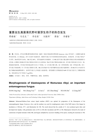 重要虫生真菌莱氏野村菌芽生孢子的形态发生[1]
